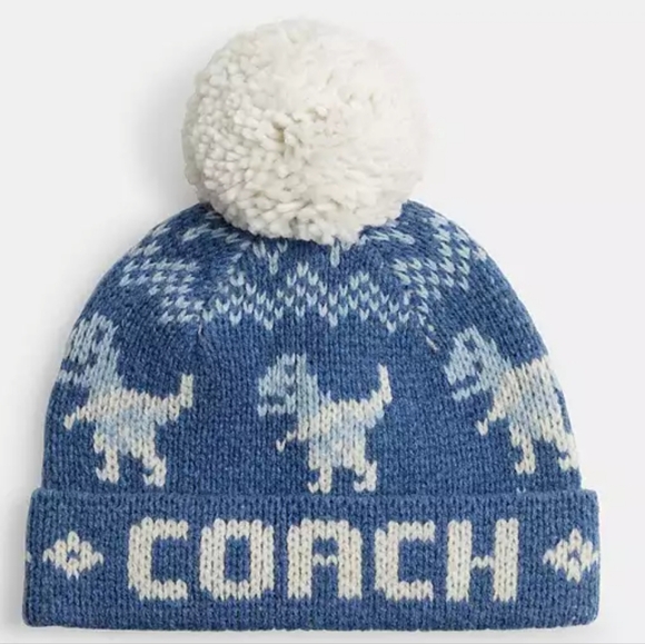 Coach Hat - Picture 1 of 1
